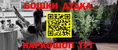 хмурый Кингисепп