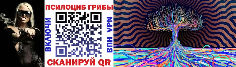 МЕГА tor  Павловский Посад  Псилоцибиновые грибы ЛСД 