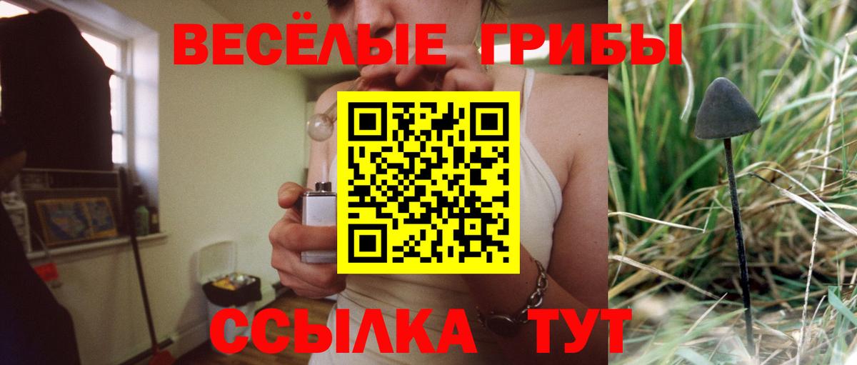 Павловский Посад  Псилоцибиновые грибы Psilocybine cubensis  Вход с VPN 
